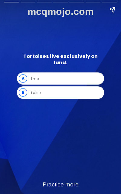 /quiz/web-stories/turtle-or-tortoise-quiz/